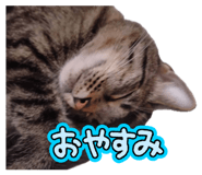 840635099