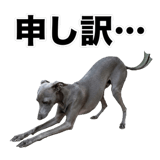 840635962