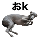 840635965