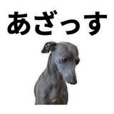 840635967