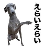 840635969
