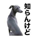840635972