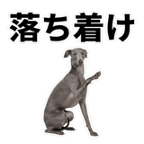 840635978