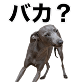 840635982