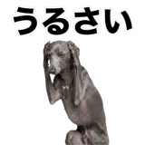840635986