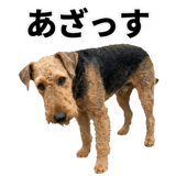 840636439