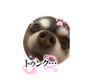 840636863