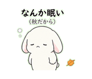 840639685