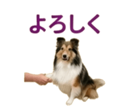 840641477