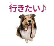 840641495