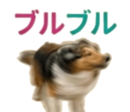 840641504