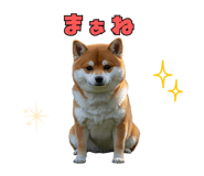 840642523