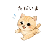 840643087