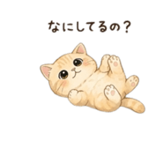 840643105