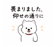 840643562