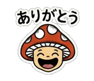 840643625