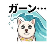 840645684