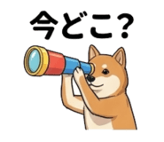 840645702