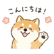 840646617