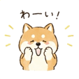 840646621