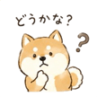 840646628