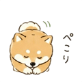 840646631