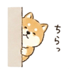 840646632