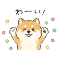 840646639
