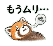 840647304