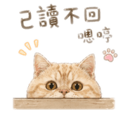 840648089