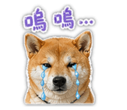 840648182