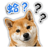 840648185