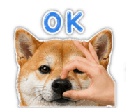 840648191