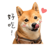 840648435