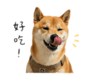 840648439