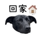 840648520