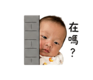 840648818