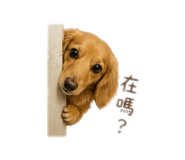 840648931