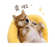 840649581