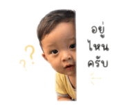 840652508