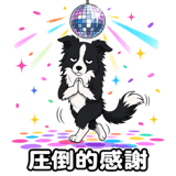 840653503
