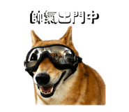 840654018