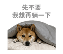 840654020