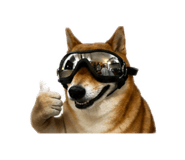 840654023