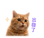 840654948