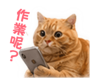 840654952