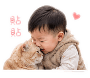 840655912