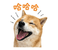 840656303