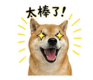 840656304