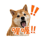 840656313